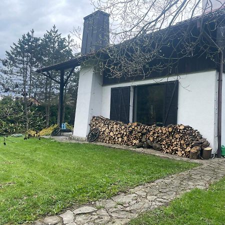 Dom Alpejski Krosniczanka Krosnica  Esterno foto
